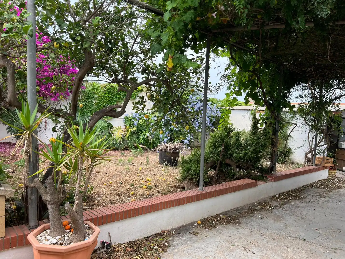 Jardí de Casa o xalet en venda en Motril amb Jardí privat, Terrassa i Piscina