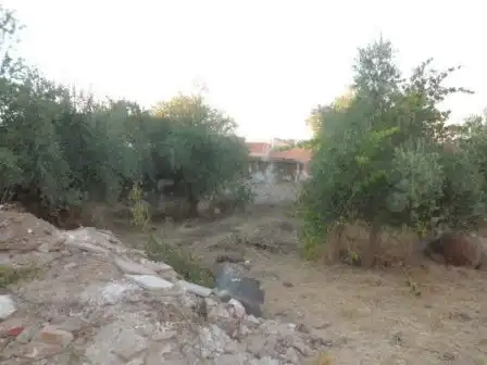 Casa con jardín en venta en Fuente Obejuna, imagen 14