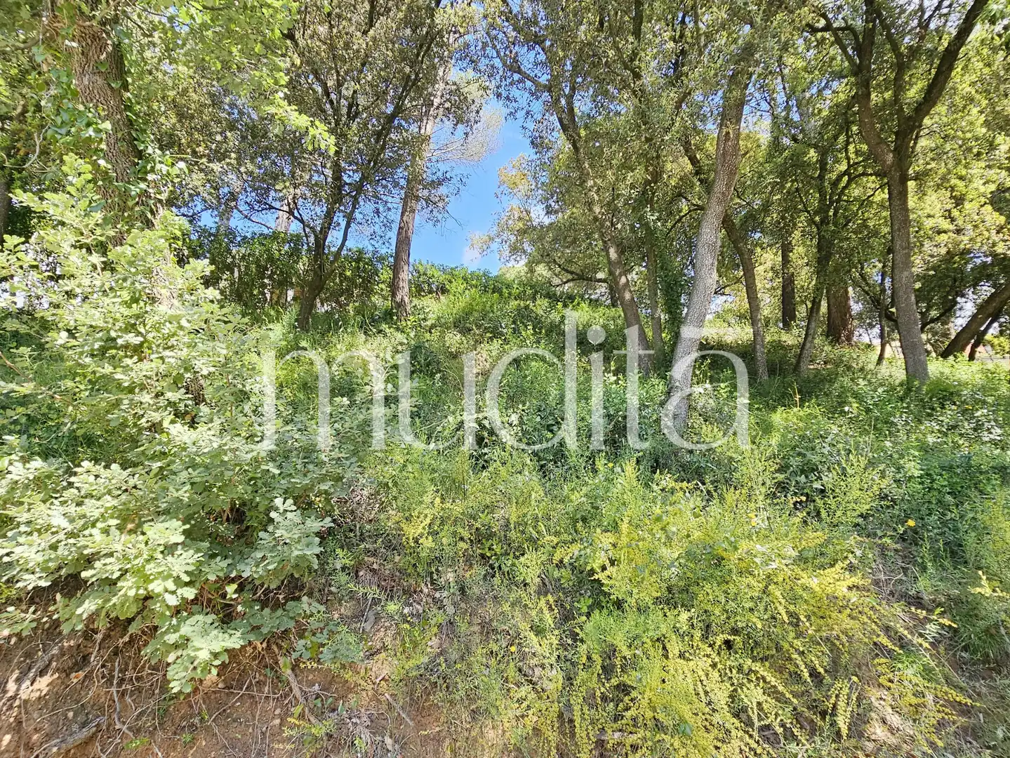 Residential land for sale in Sant Pere de Vilamajor, imagen 2