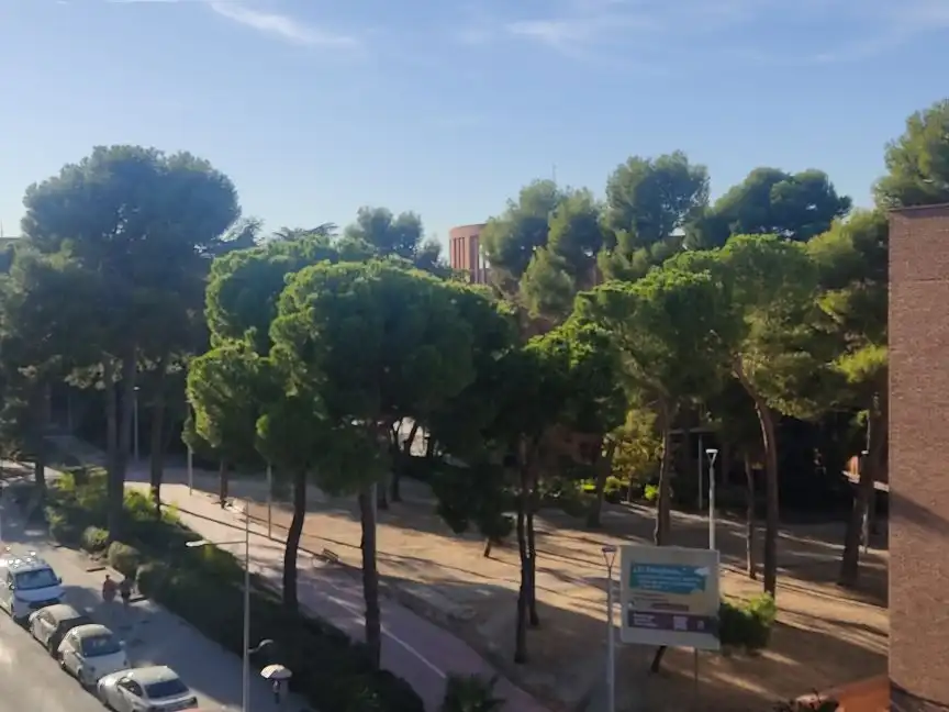 Vista exterior de Piso en venta en Coslada con Aire acondicionado, Terraza y Balcón