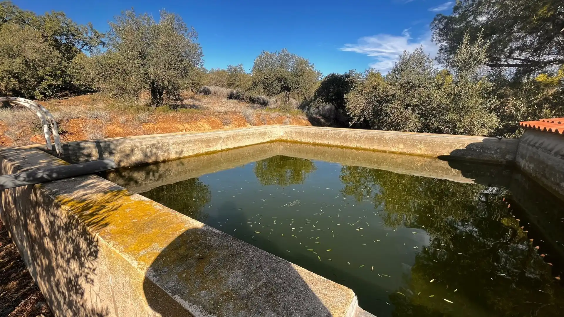 Terreno rustico in vendita a Carrer de Sant Abdó i Sant Senén, imagen 11