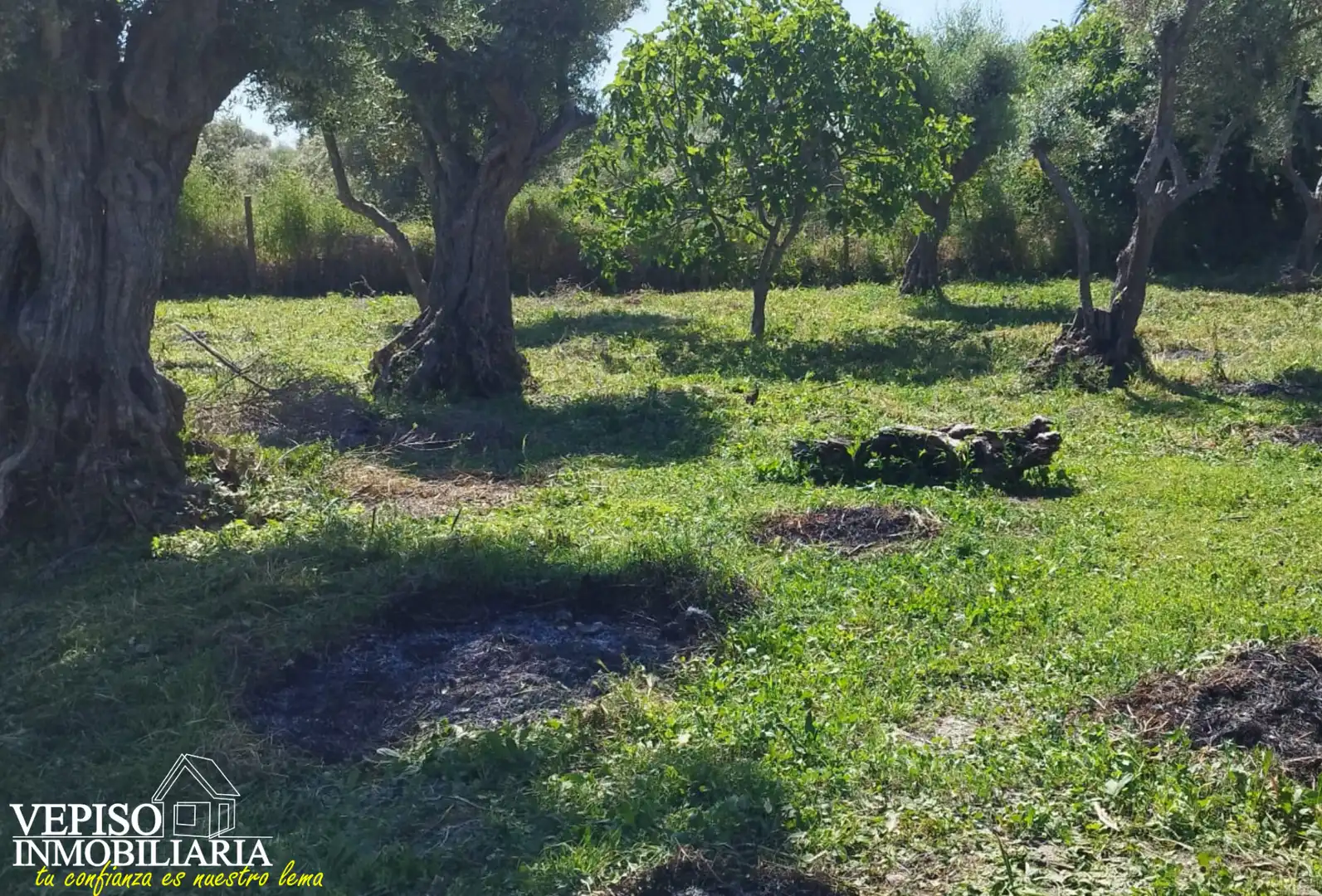 Casa o xalet en venda en Torralba de Oropesa amb Aire condicionat, Calefacció i Jardí privat