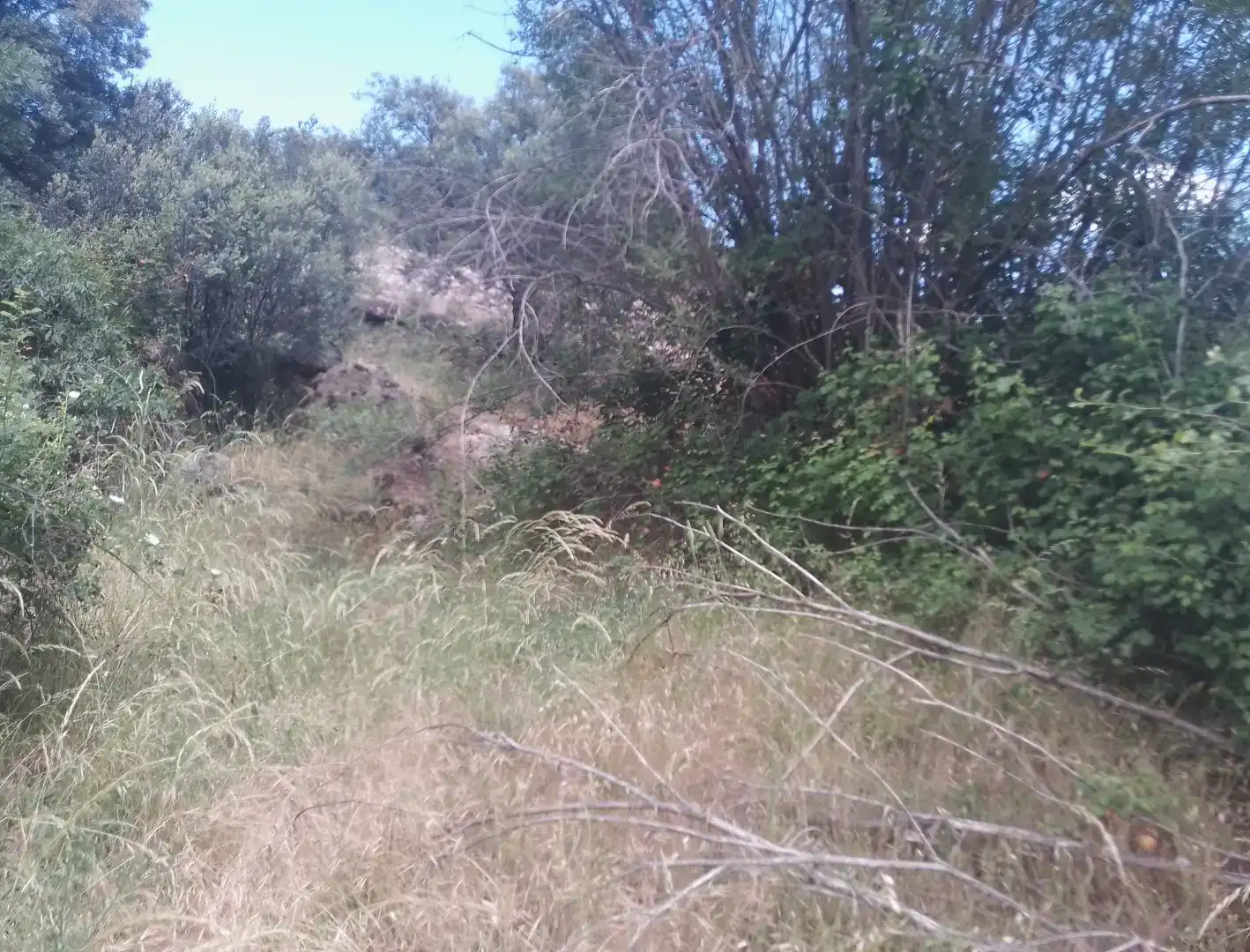 Erdgeschoss zum Verkauf in Burgohondo, Ávila