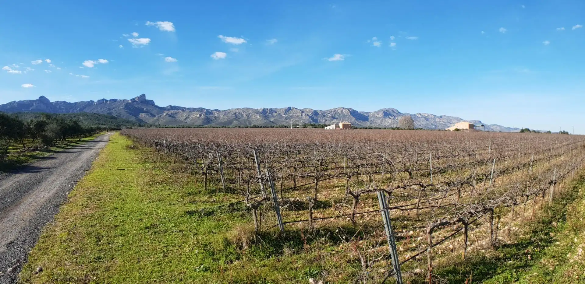 Vista exterior de Finca rústica en venta en El Perelló con Jardín privado, Terraza y Trastero