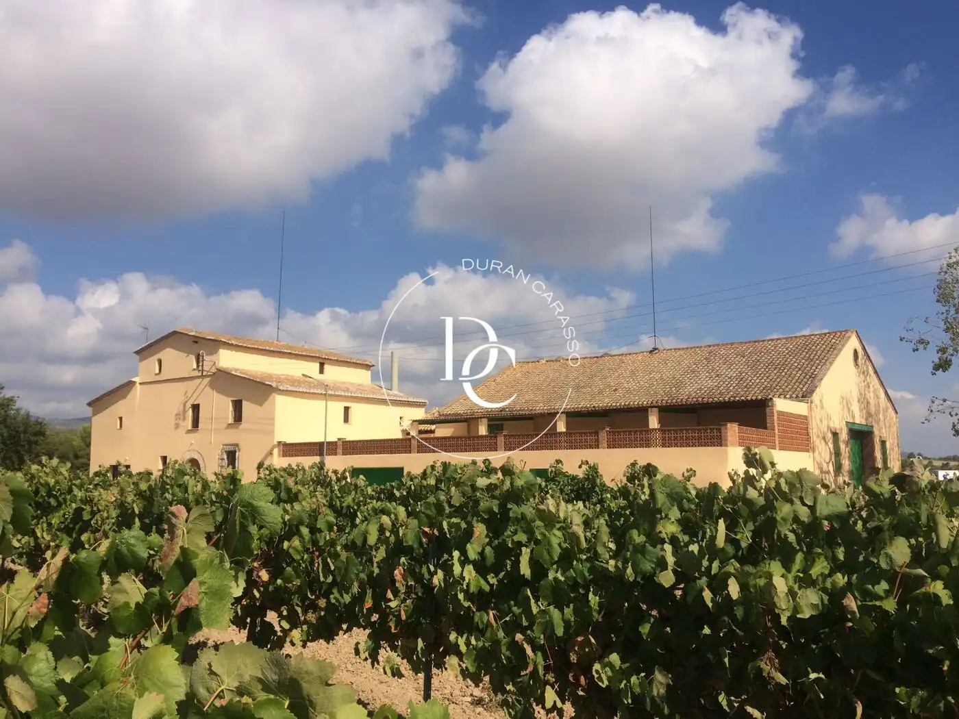 Casa en venta en Carrer Montserrat S Marcal, imagen 3