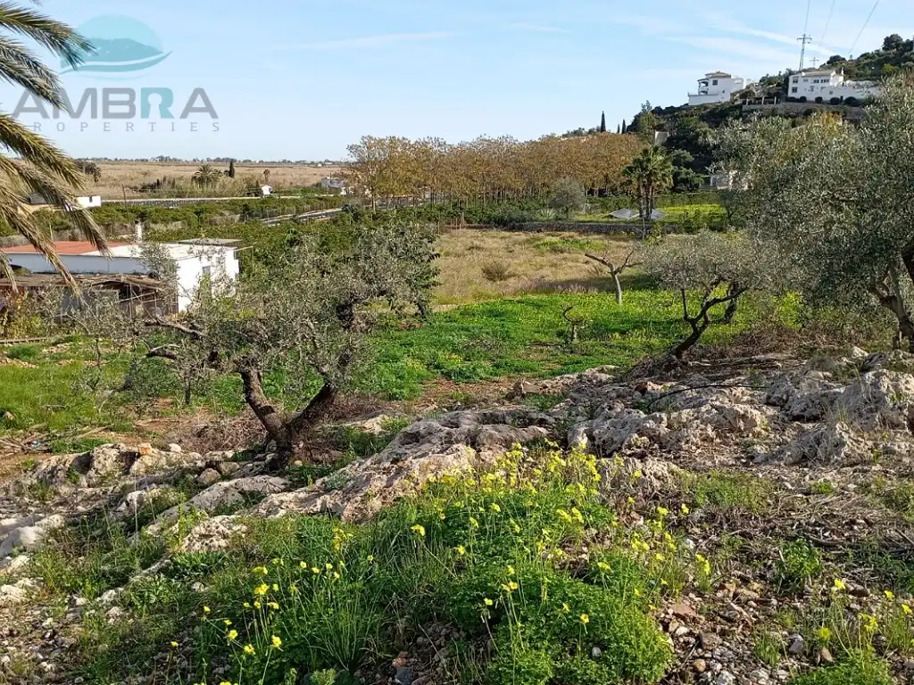 Rural land for sale in Partida racons, imagen 7
