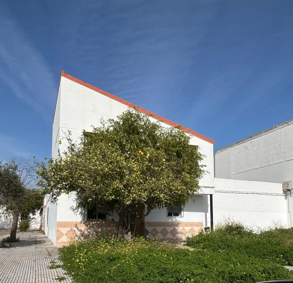 Casa o xalet en venda a Los Palacios y Villafranca