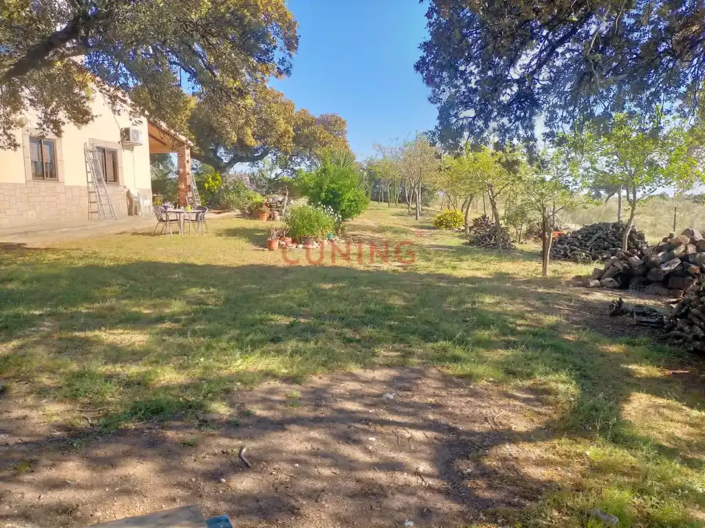 Casa rustica in vendita a Poligono 2 Paraje 95 Dehesa Boyal, imagen 5