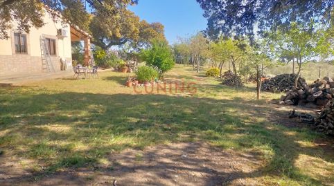 Foto 5 de Finca rústica en venda a Poligono 2 Paraje 95 Dehesa Boyal, Portezuelo, Cáceres