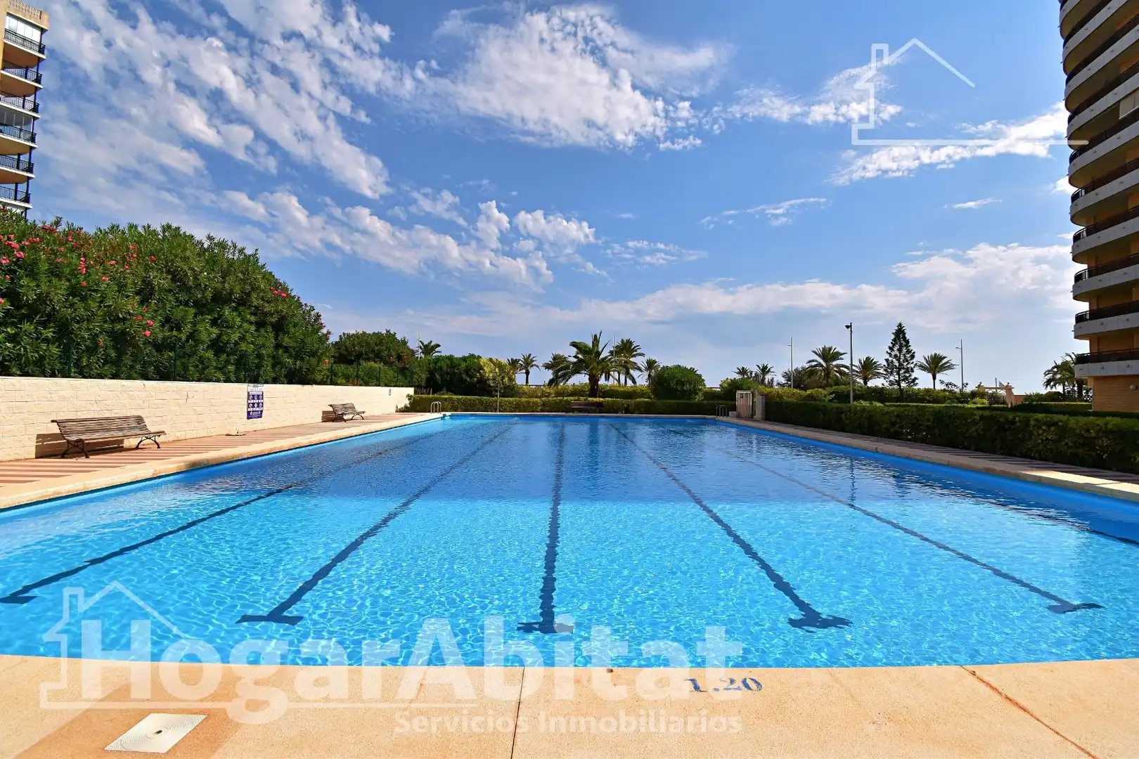 Appartamento con terrazza in vendita a Avenida Norte, imagen 54