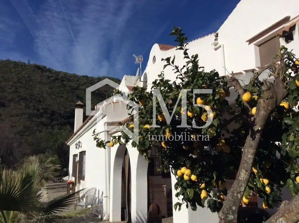 Casa rústica con piscina en venta en Sedella, imagen 34