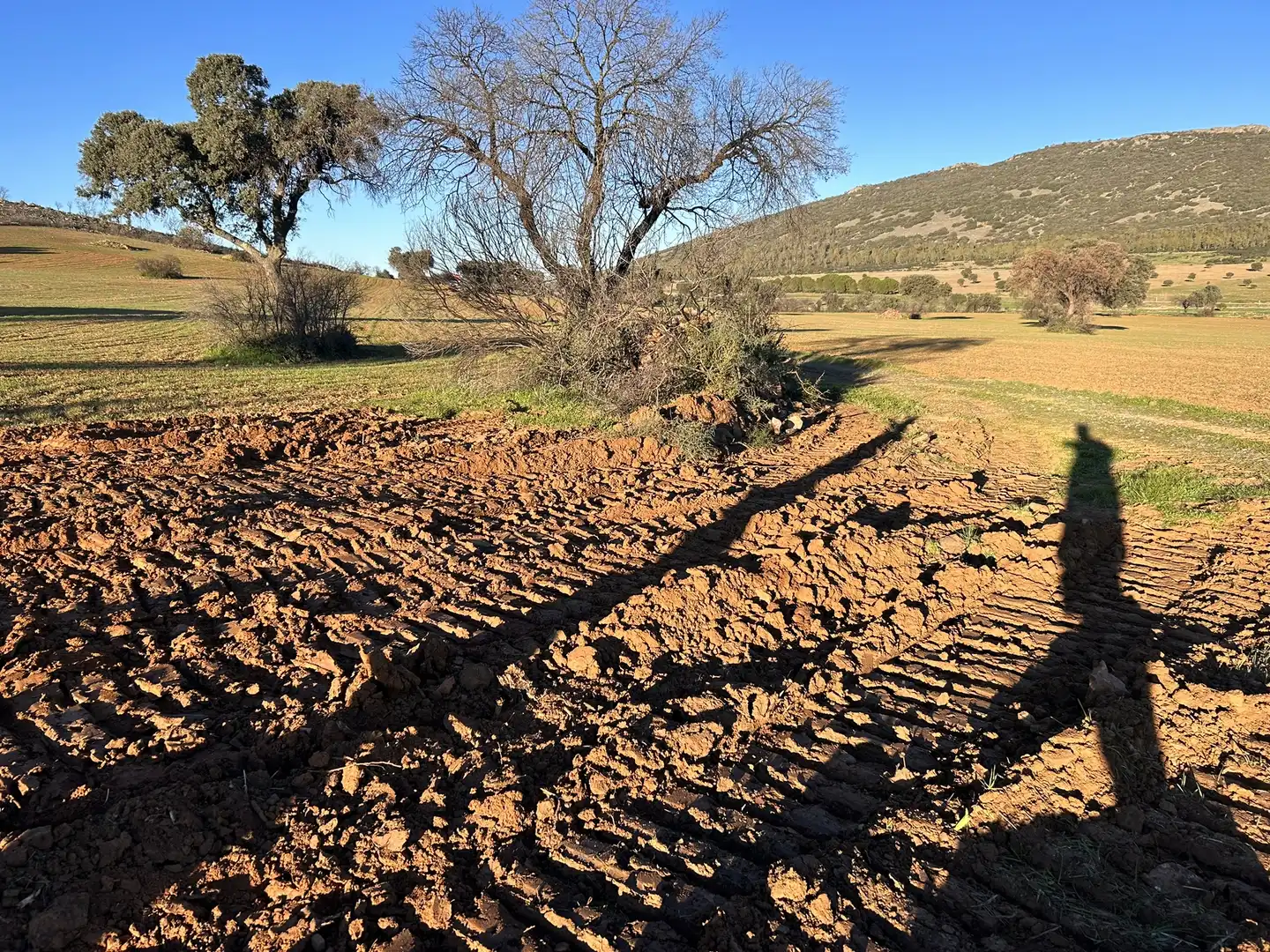 Terreny rústic en venda a Peraleda del Zaucejo, imagen 20