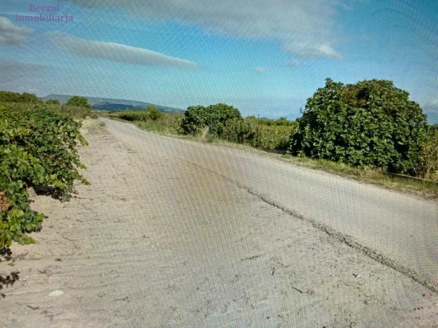 Rustikales Grundstück zum Verkauf in Polígono 5, imagen 3