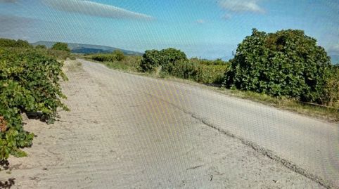 Finca Rustica en Entrena. 3600 metros, posibilidad de caseta de 20 metros., imatge 3
