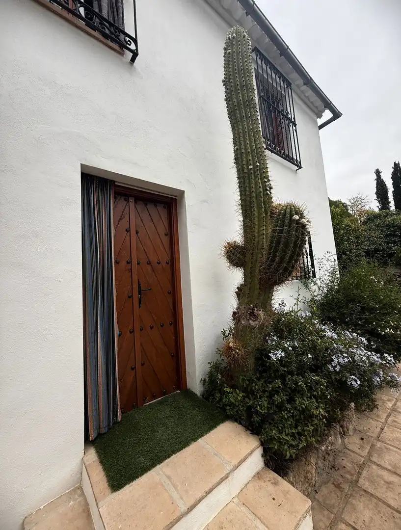Vista exterior de Casa o chalet en venta en Granada con Terraza