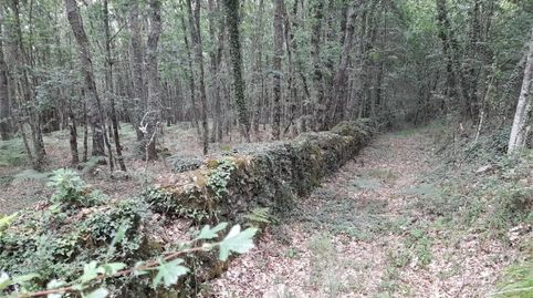 Foto 2 von Grundstücke zum Verkauf in A Bola , Ourense