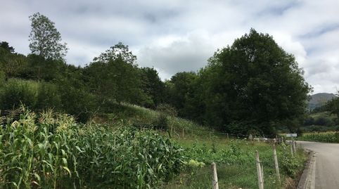FINCA RÚSTICA CON CUADRA DE PIEDRA CERCA DE CANGAS DE ONIS, immagine 4