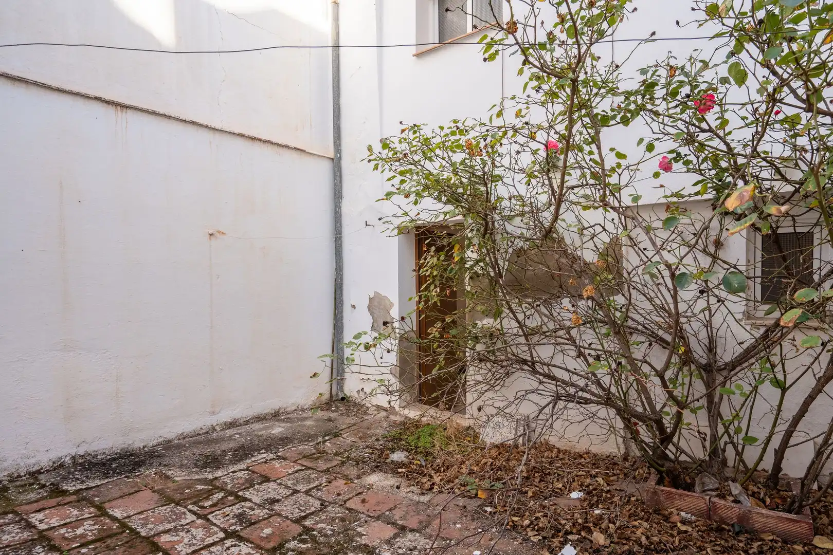 Vista exterior de Casa o chalet en venta en Antequera