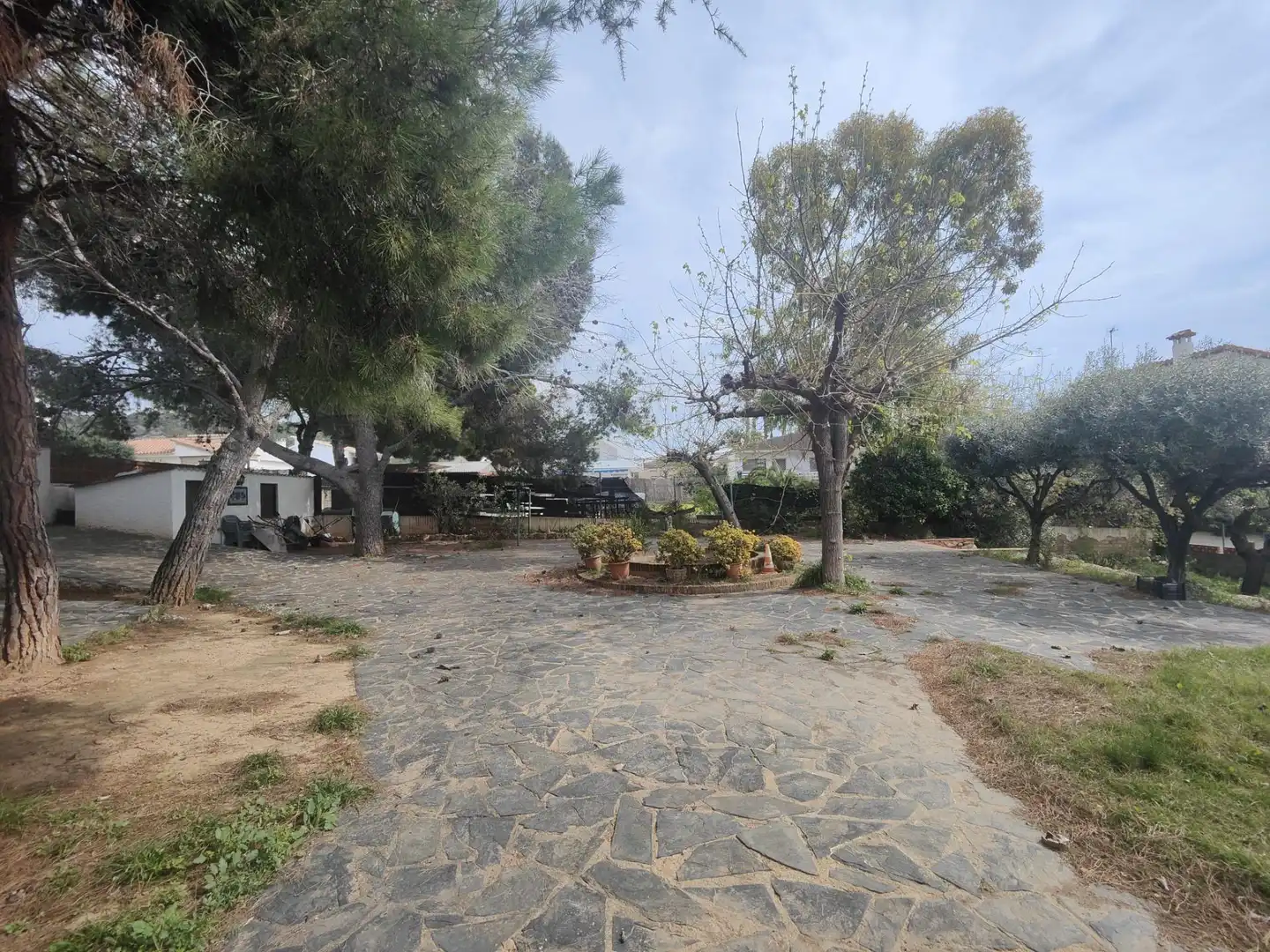 Jardín de Casa o chalet en venta en Roda de Berà con Jardín privado, Terraza y Trastero