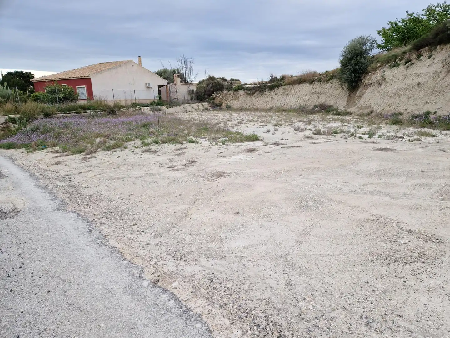Land for sale in Villanueva del Río Segura