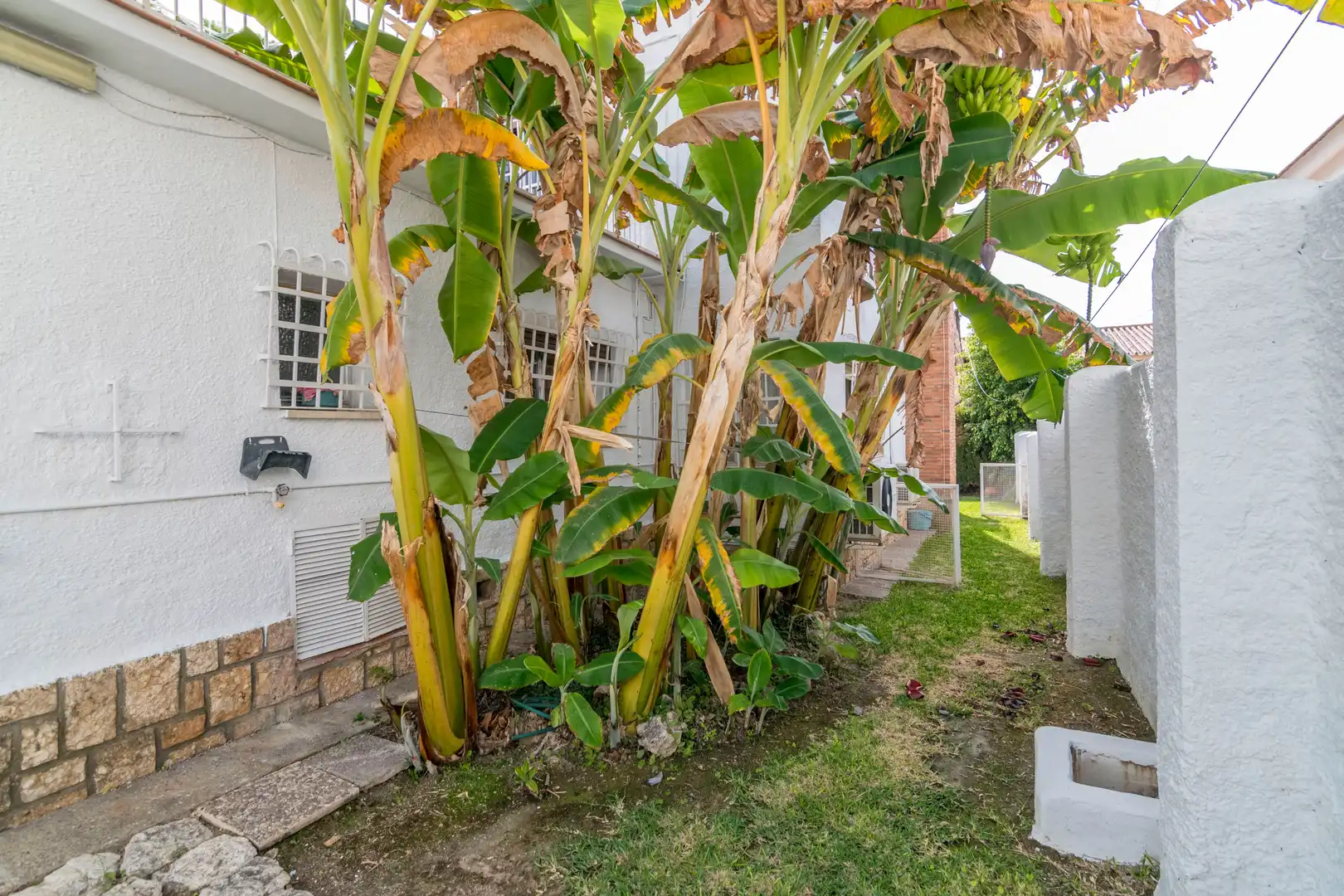 Casa o xalet en venda a Calle Gabriel y Galán, Pedregalejo - Morlaco