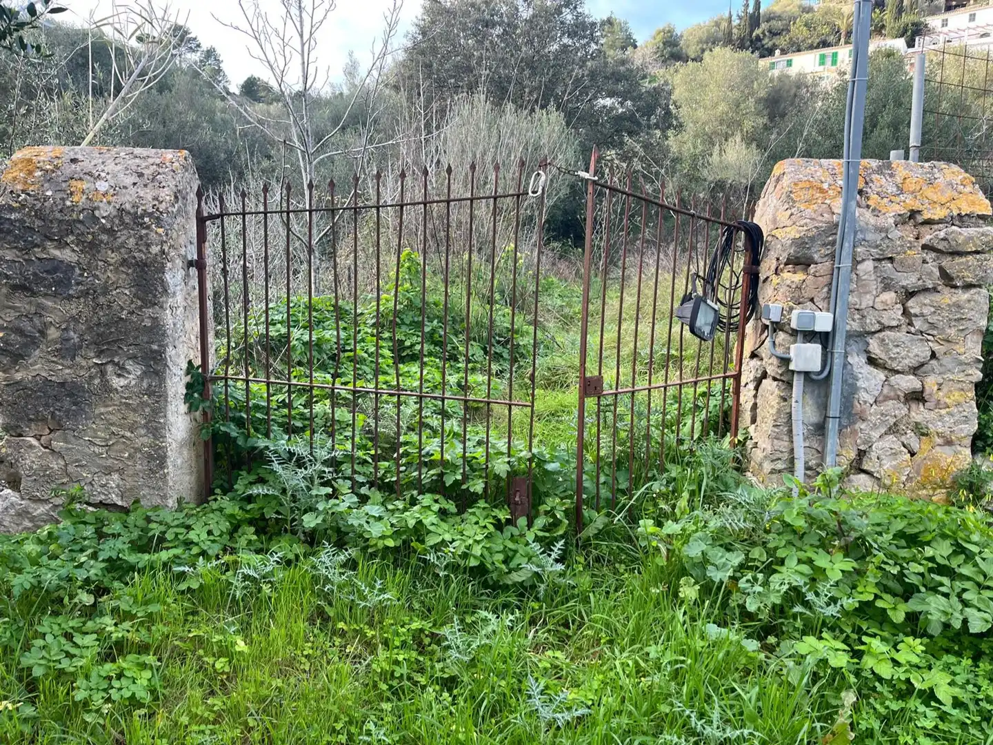 Terreny residencial en venda a Puigpunyent, imagen 2