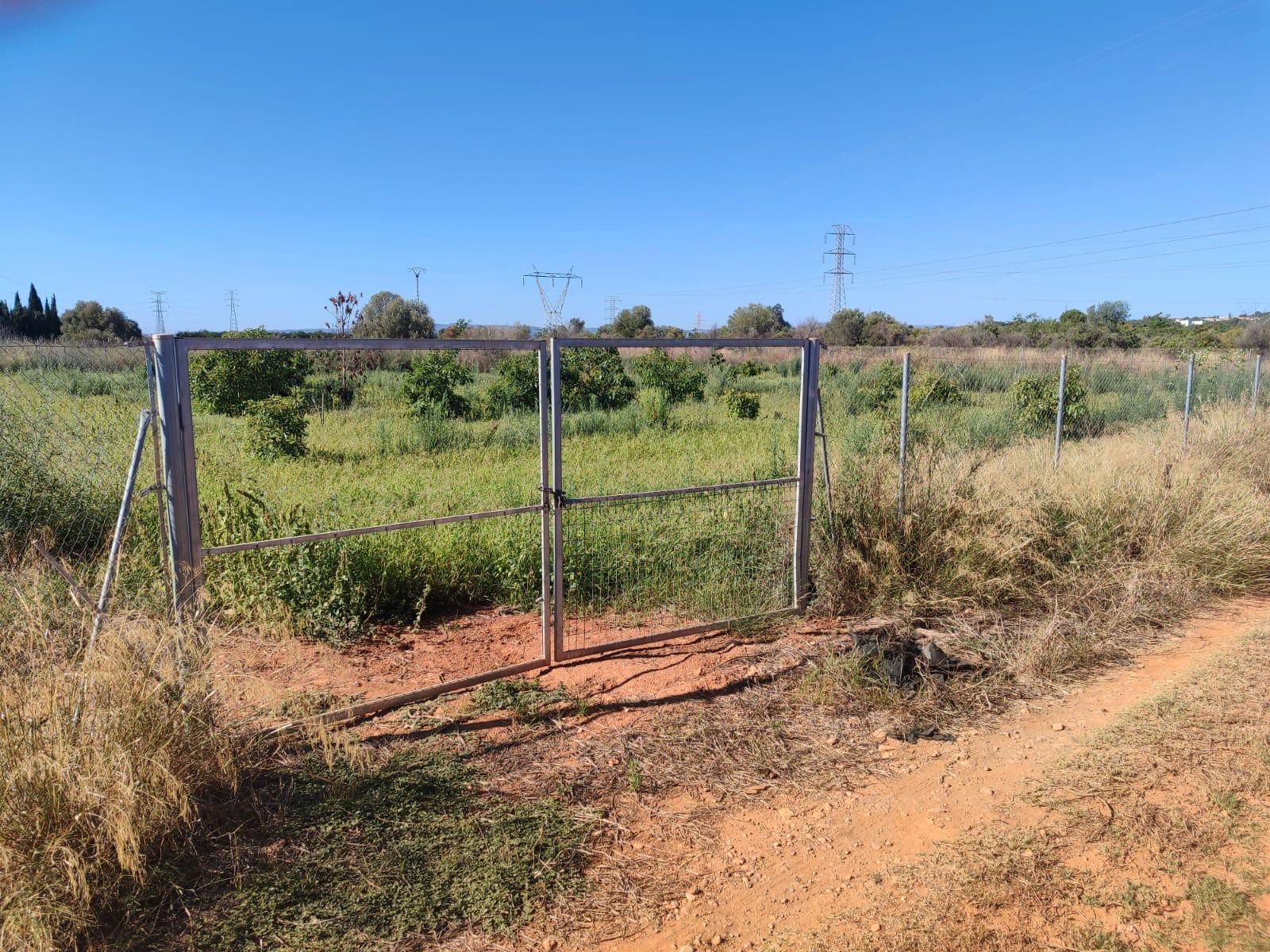 Land for sale in Torrent