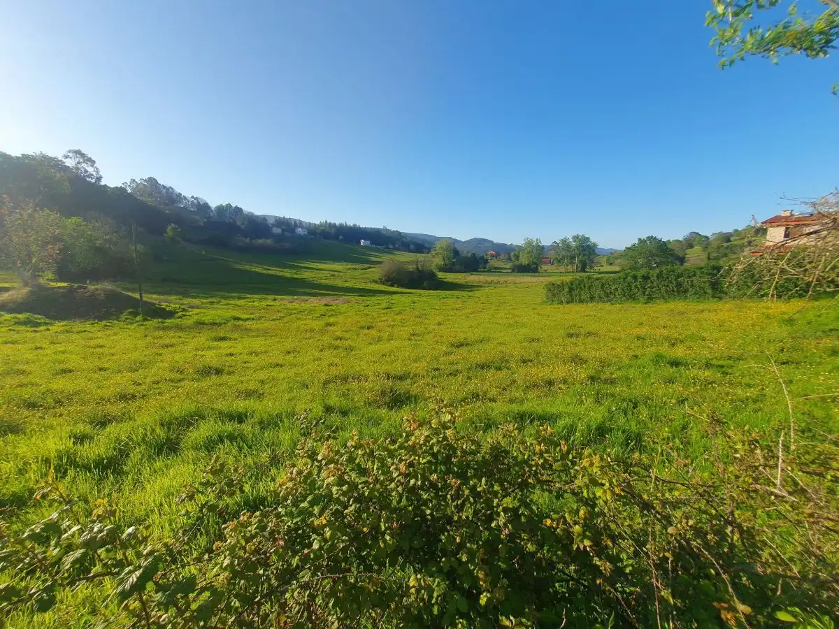 Terrenos y solares en venta en Salas, imagen 2