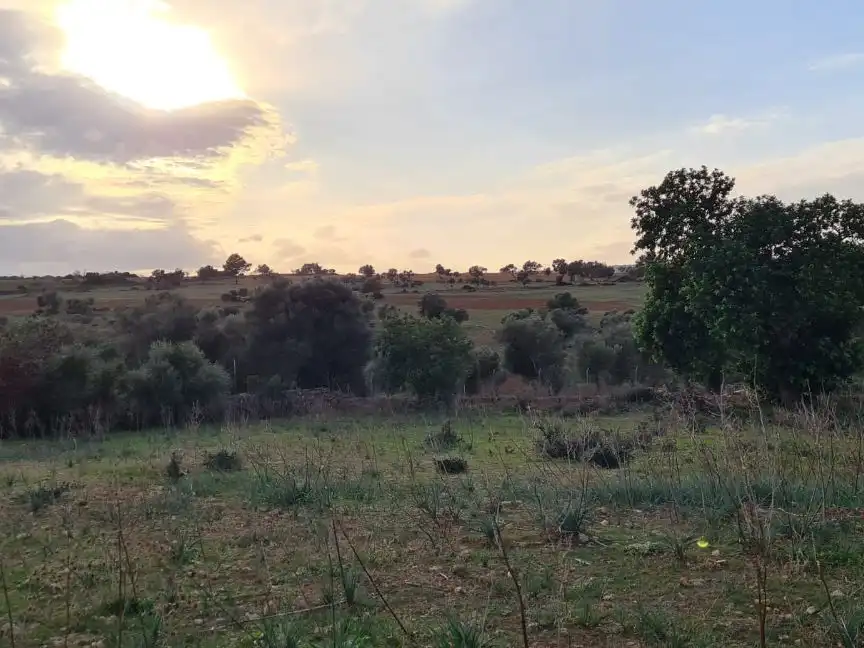 Residential land for sale in Diseminado Poligon 02 33, imagen 12