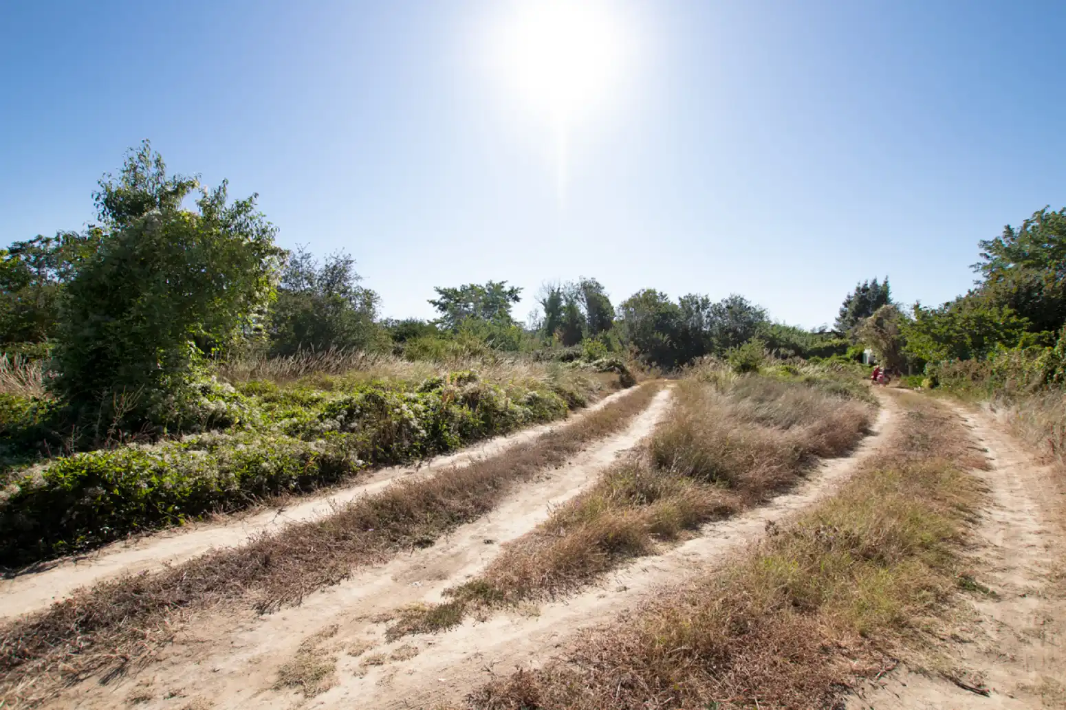 Land for sale in Tafalla - PARAJE MAKOTXA, Tafalla