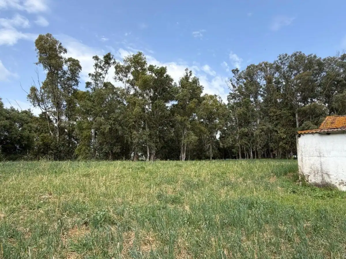 Finca rústica en venta en Jimena de la Frontera con Terraza