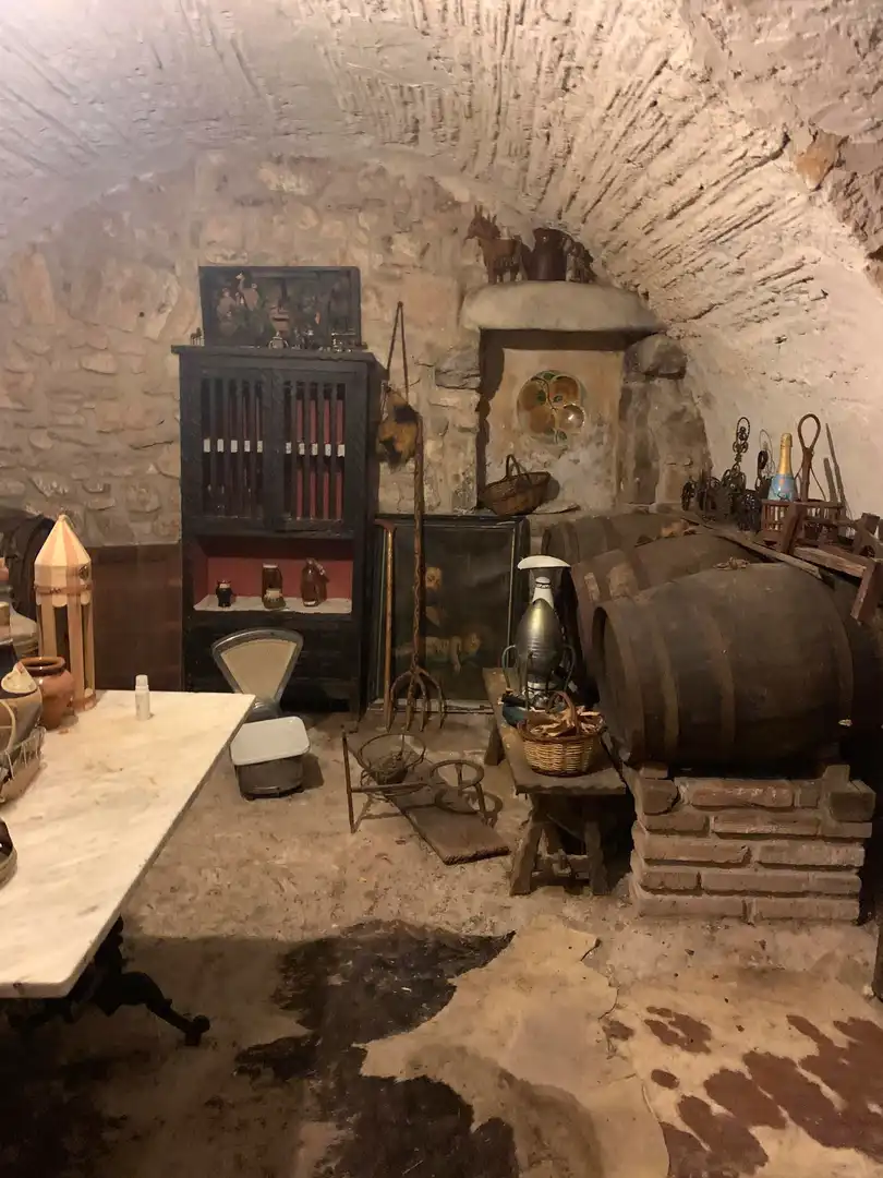 Cuina de Casa o xalet en venda en Girona amb Jardí privat, Parquet i Terrassa