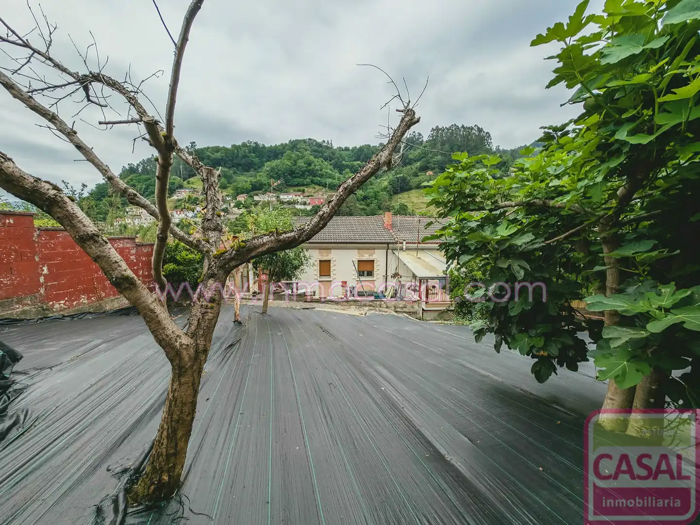 Außenansicht von Haus oder Chalet zum Verkauf in Mieres (Asturias) mit Heizung, Terrasse und Abstellraum