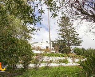 Garden of House or chalet for sale in Algeciras  with Private garden, Terrace and Swimming Pool