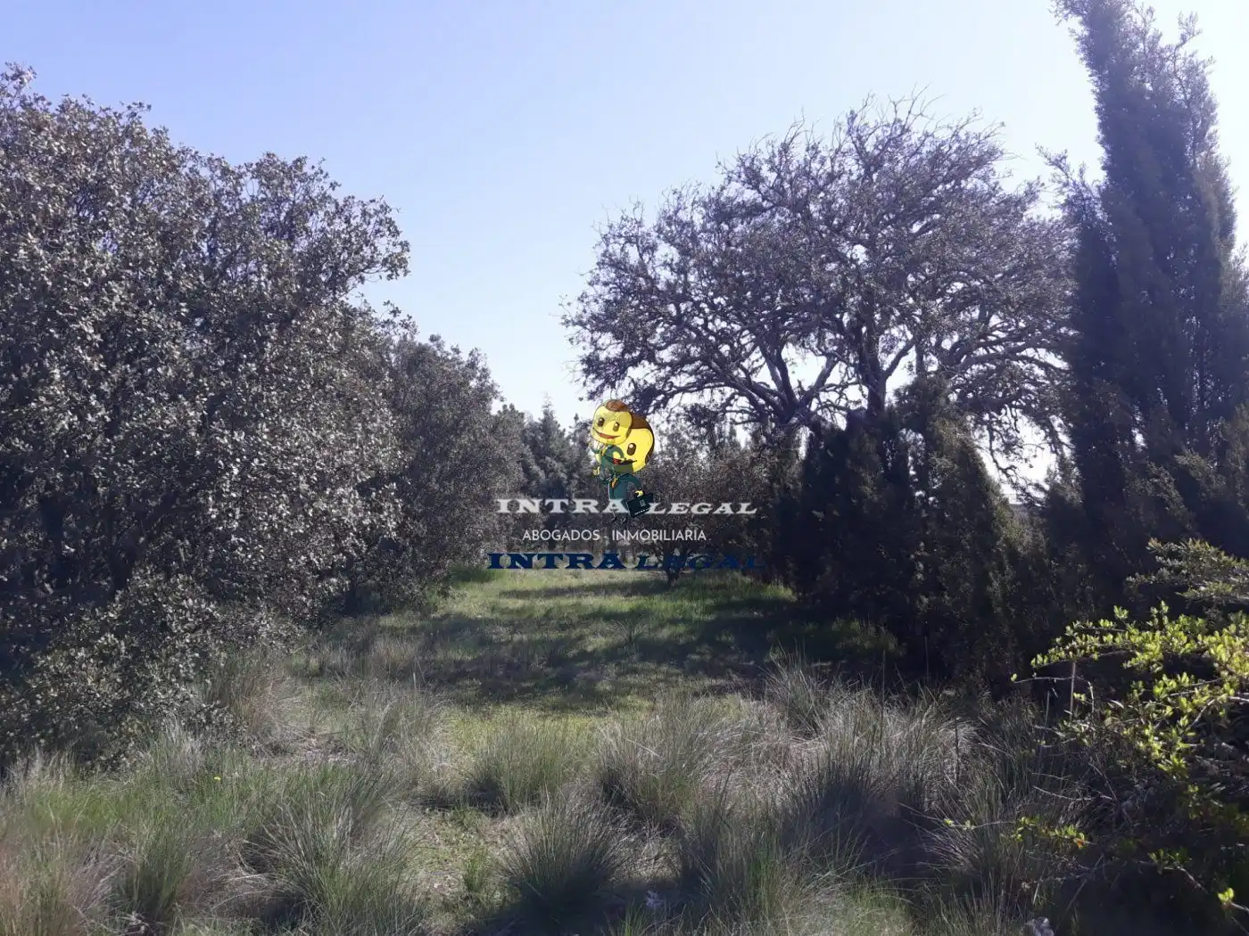 Terreno en venta en Buenavista
