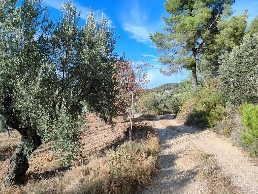Country homes for sale in Fuentespalda