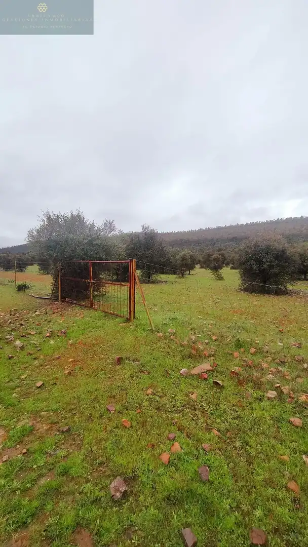 Finca rústica en venta en La Nava de Santiago  con Piscina