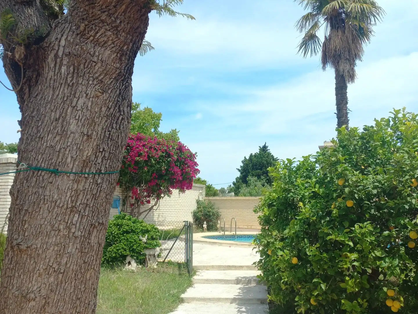 Villa con piscina in vendita a Avinguda del Grau 100, imagen 9