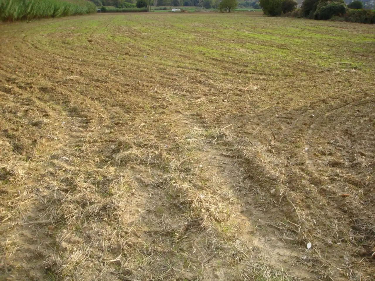 Land for sale in Vilanova del Vallès