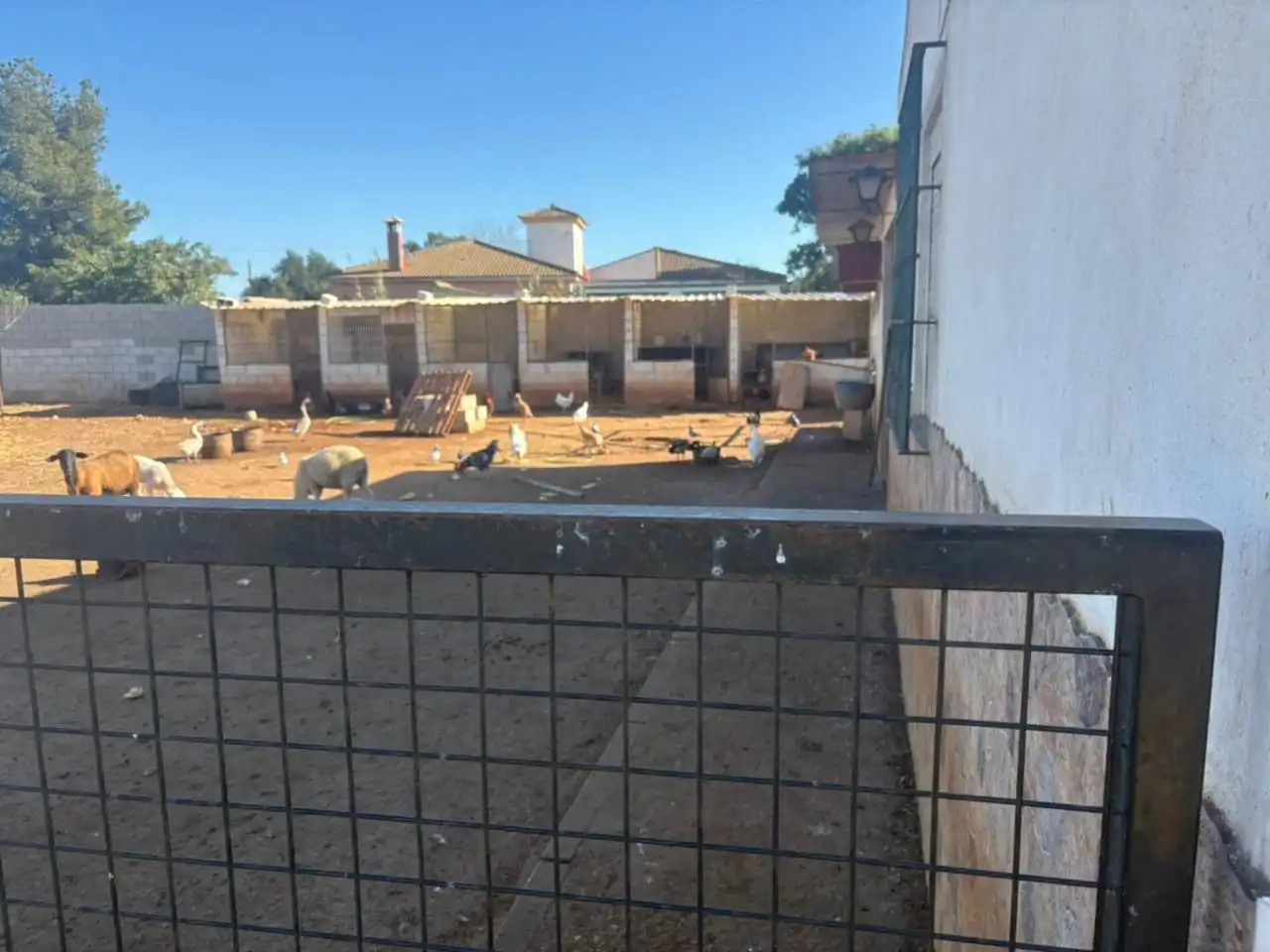 Casa o chalet en venta en Urbanizacion Nietos, Carmona
