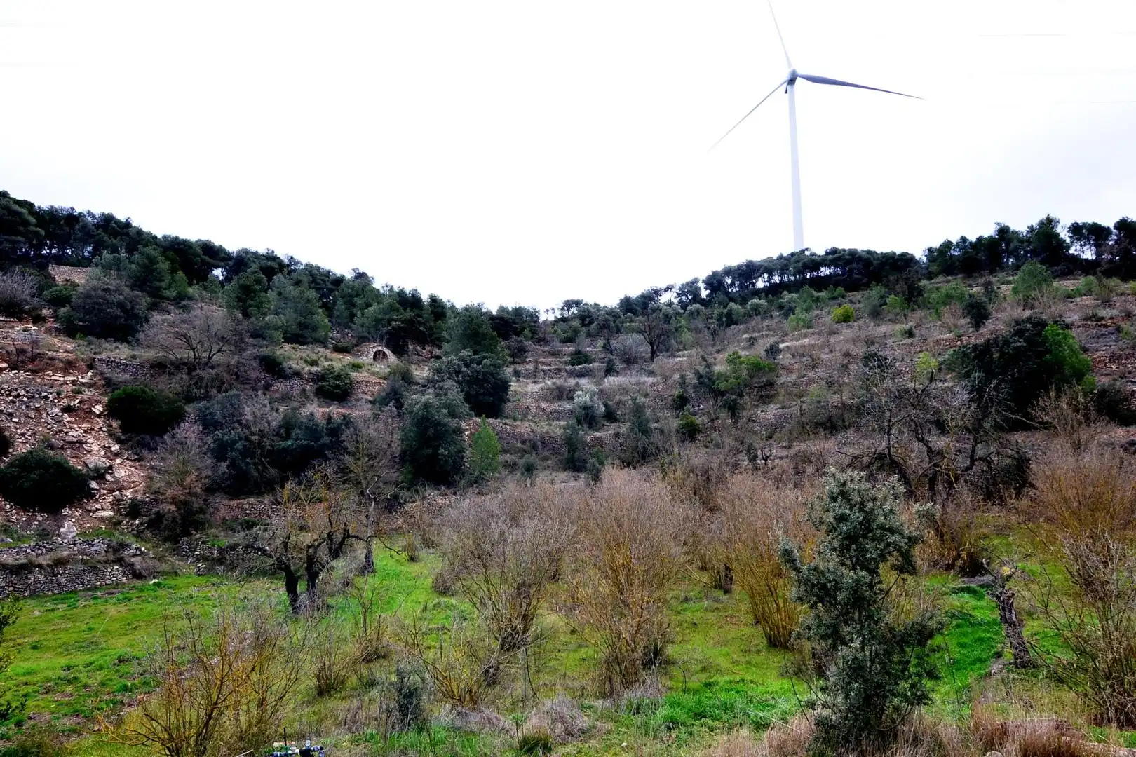 Terreno en venta en Vilalba dels Arcs