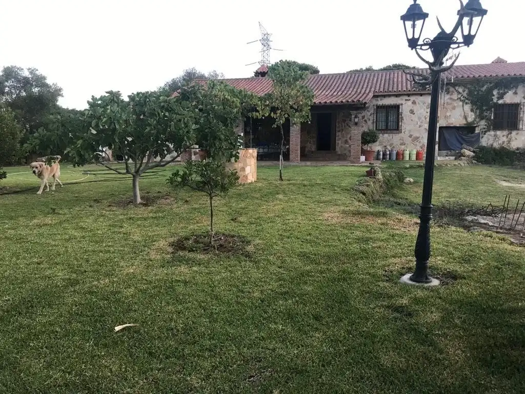 Jardín de Casa o chalet en venta en San Roque con Jardín privado, Terraza y Piscina