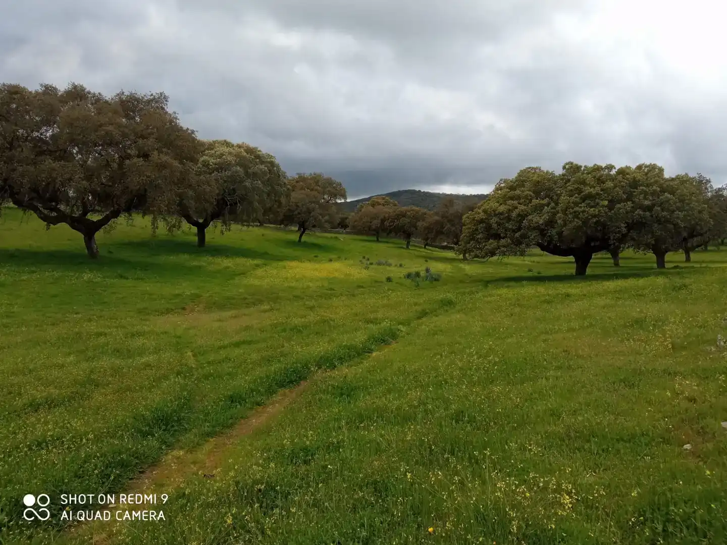 Finca rústica en venta en Aldeacentenera con Jardín privado