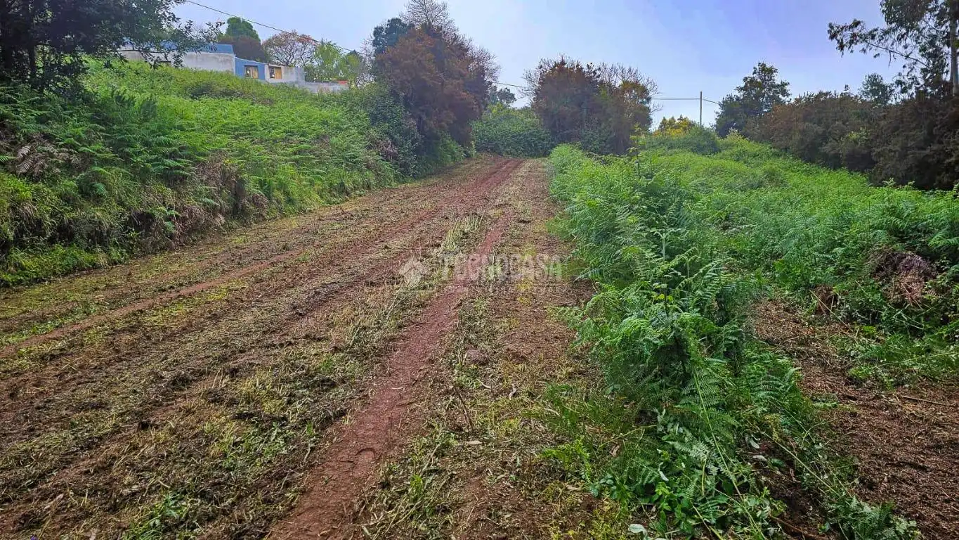 Land for sale in Tacoronte