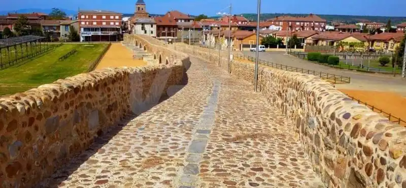 Vista exterior de Finca rústica en venta en Hospital de Órbigo