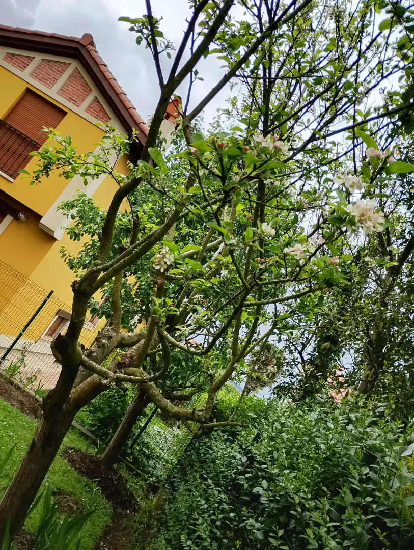 Jardín de Casa o chalet en venta en Castro-Urdiales con Calefacción, Jardín privado y Terraza