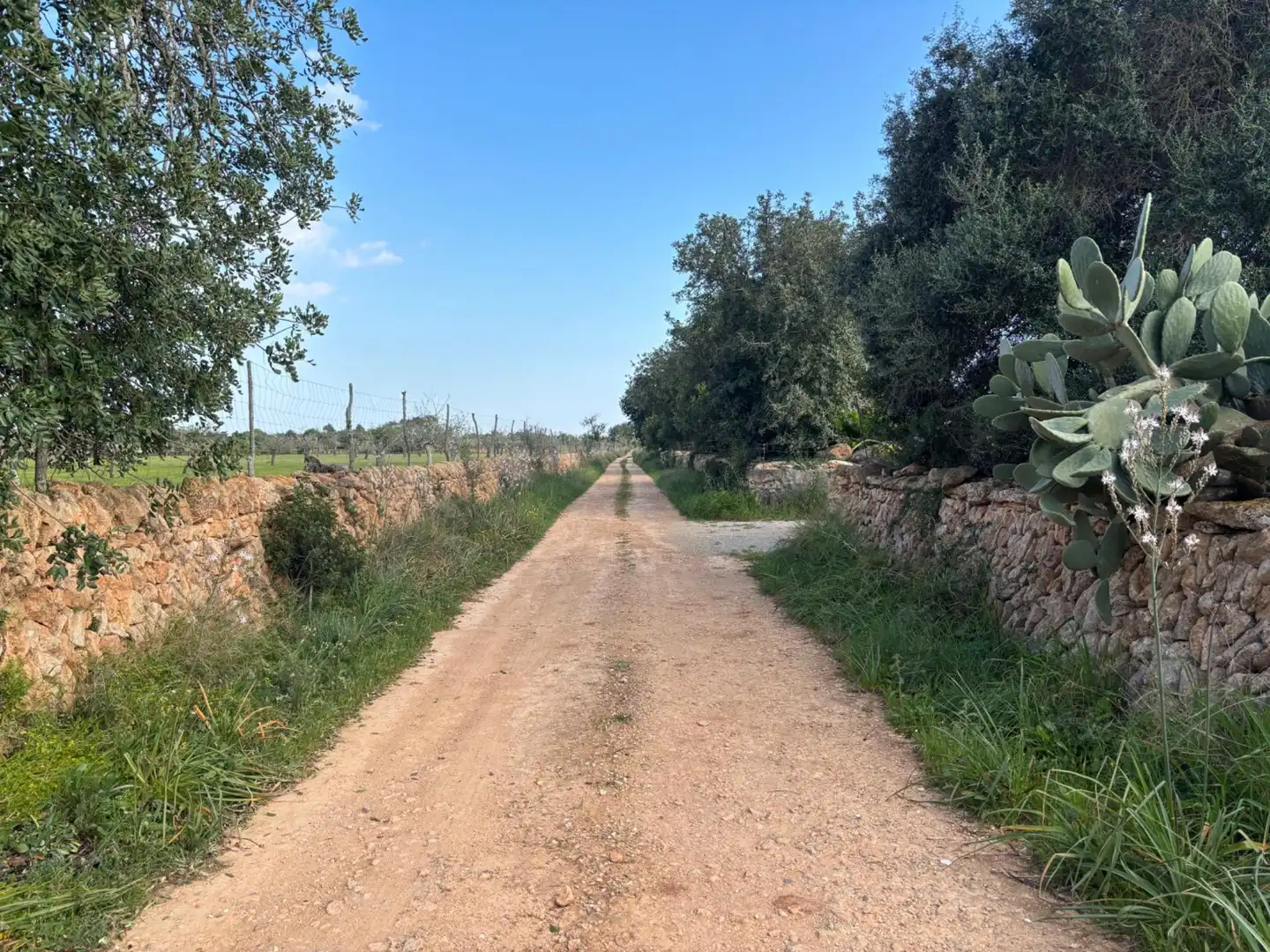 Residencial en venda en Llucmajor