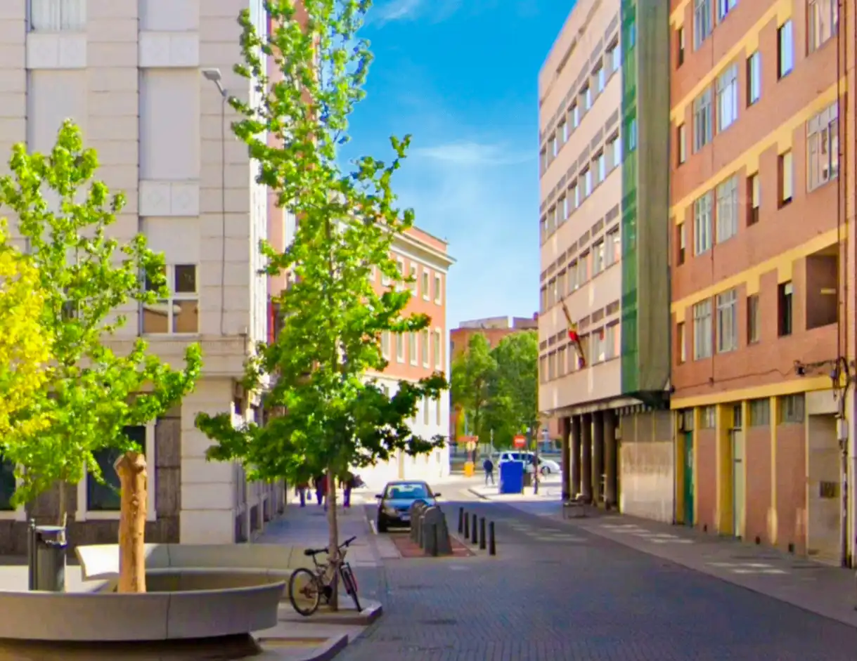 Apartments for rent in Calle Obispo Nicolás Castellanos, Centro