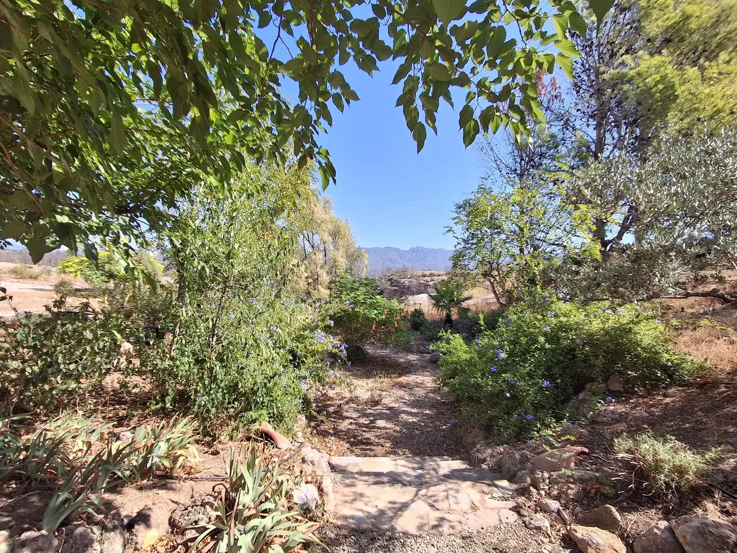 Garden of Houses for sale in Xerta