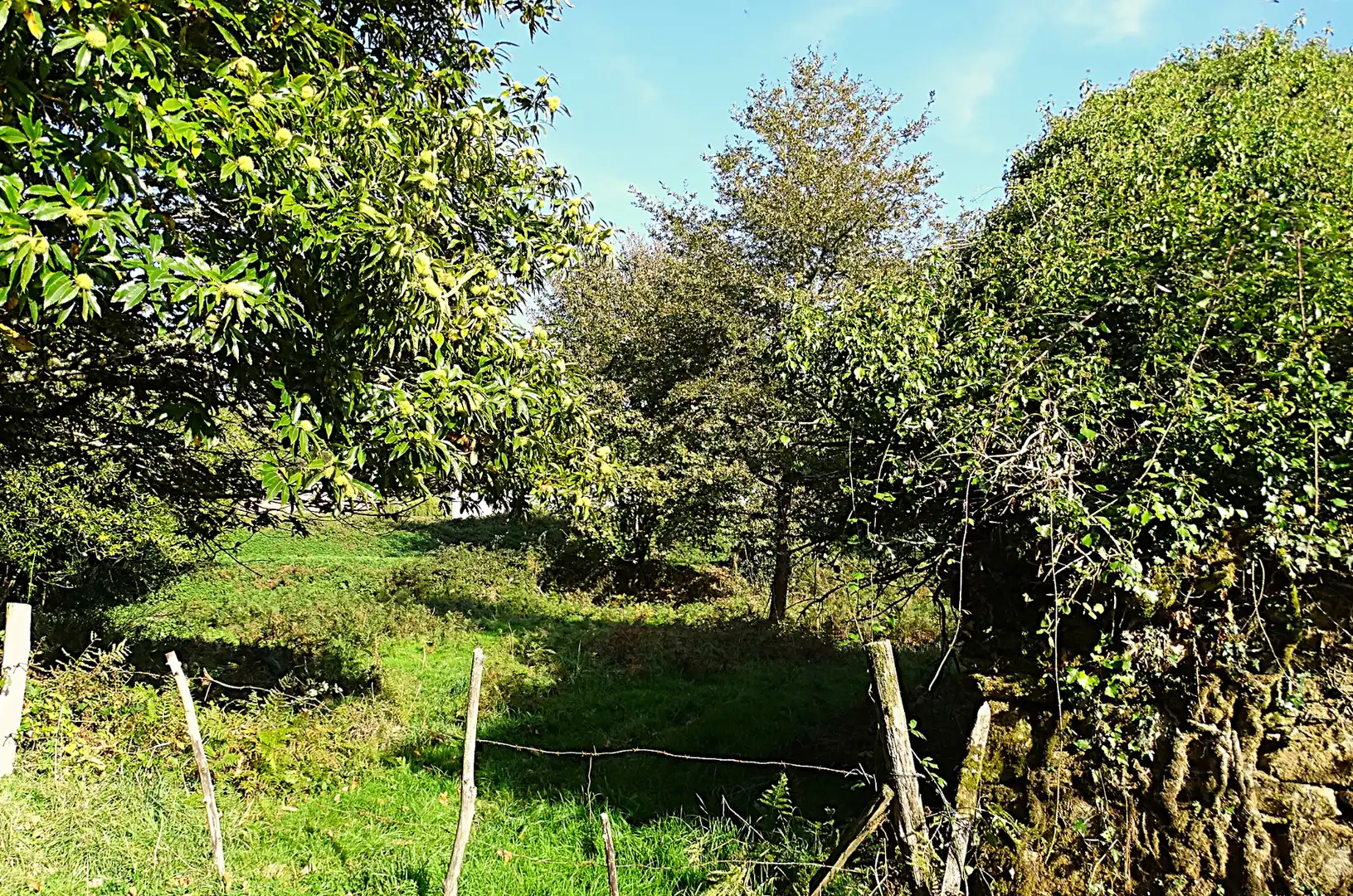 Country house zum Verkauf in Vilalba mit Heizung